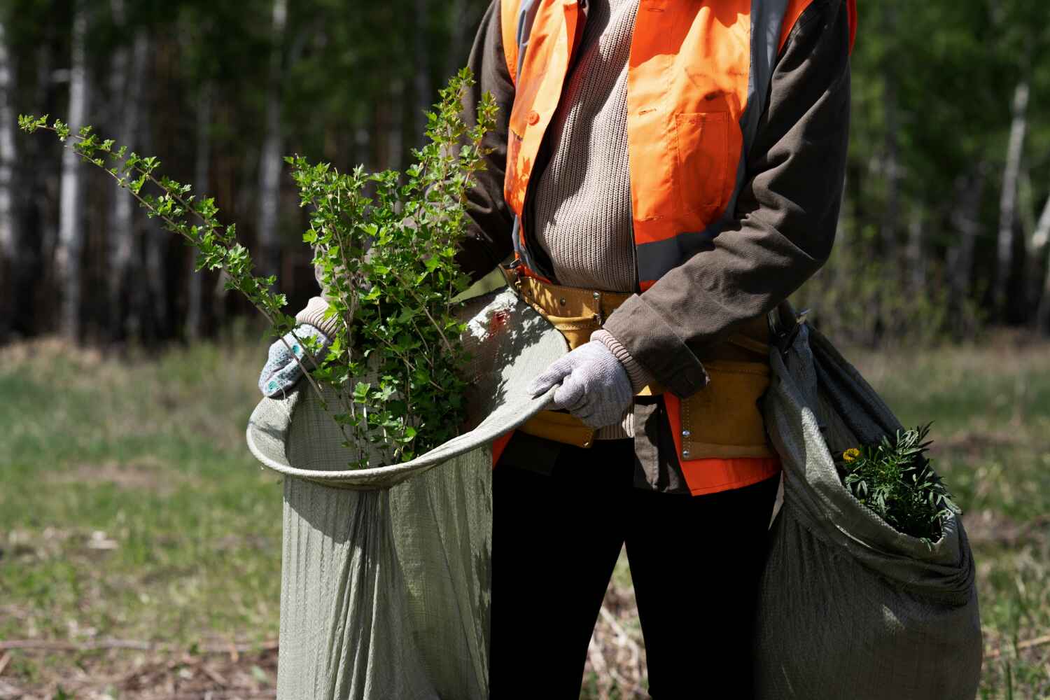 Best Tree Trimming Near Me  in USA